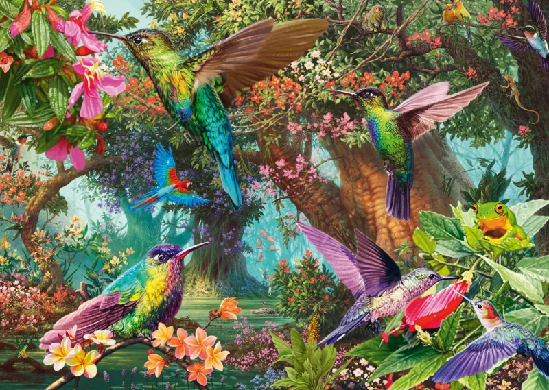 Schmidt - Hummingbirds in a Burst of Colour - 1000 Piece Best