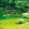 Schmidt - Mark Gray : Australia, Mossman Gorge, Queensland - 1000 Piece Jigsaw Puzzle Sale