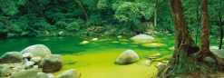 Schmidt - Mark Gray : Australia, Mossman Gorge, Queensland - 1000 Piece Jigsaw Puzzle Sale