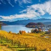 Schmidt - Vineyards - 2000 Piece Jigsaw Puzzle Fashion
