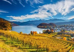 Schmidt - Vineyards - 2000 Piece Jigsaw Puzzle Fashion