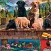 Schmidt Shmidt - Dog Family by the Lake - 1000 Piece Jigsaw Puzzle New