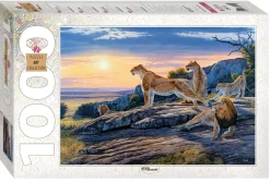 Step Puzzle 79111 Before Hunting Clearance