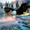 Sunsout Sunout - Eagle Dawn - 1000 piece jigsaw puzzle Hot