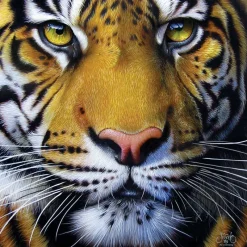 Sunsout - Jurek - Golden Tiger Face - 1000 Piece Jigsaw Puzzle Outlet