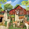 Sunsout Lori Schory - Six Llamas 1000 piece jigsaw puzzle Best