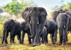Trefl - African Elephants - 1000 piece jigsaw puzzle Outlet
