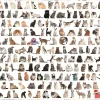 Trefl - Cats - 1000 piece jigsaw puzzle New