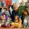 Trefl - Cats Meeting - 1000 piece jigsaw puzzle Best