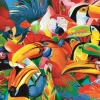 Trefl - Colorful Birds - 500 piece jigsaw puzzle Best