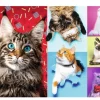 Trefl - Happy Cats - 1000 Piece Jigsaw Puzzle Fashion