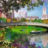 Trefl Central Park, New York 1000 piece jigsaw puzzle Online
