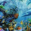 Trefl -Hidden Treasure - 500 Piece Jigsaw Puzzle Discount